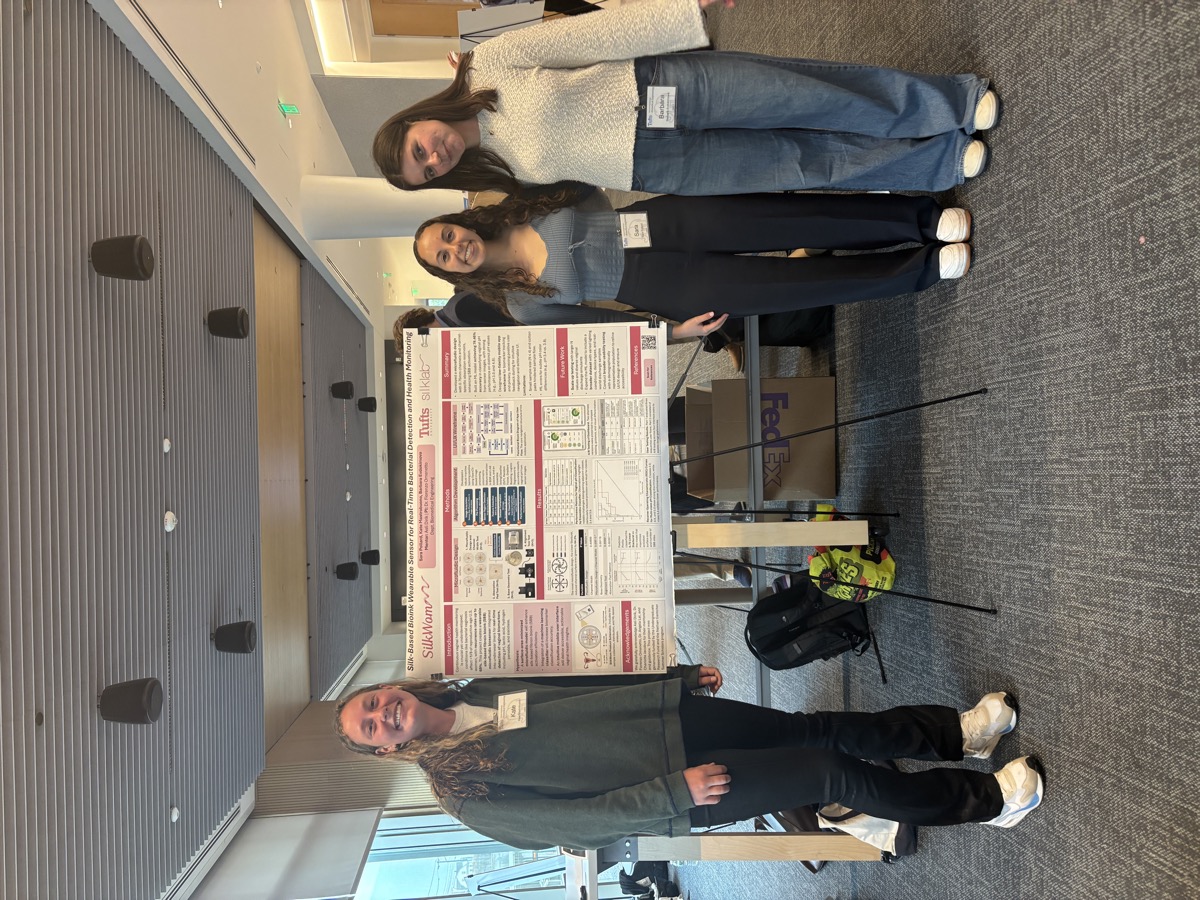 Capstone project poster